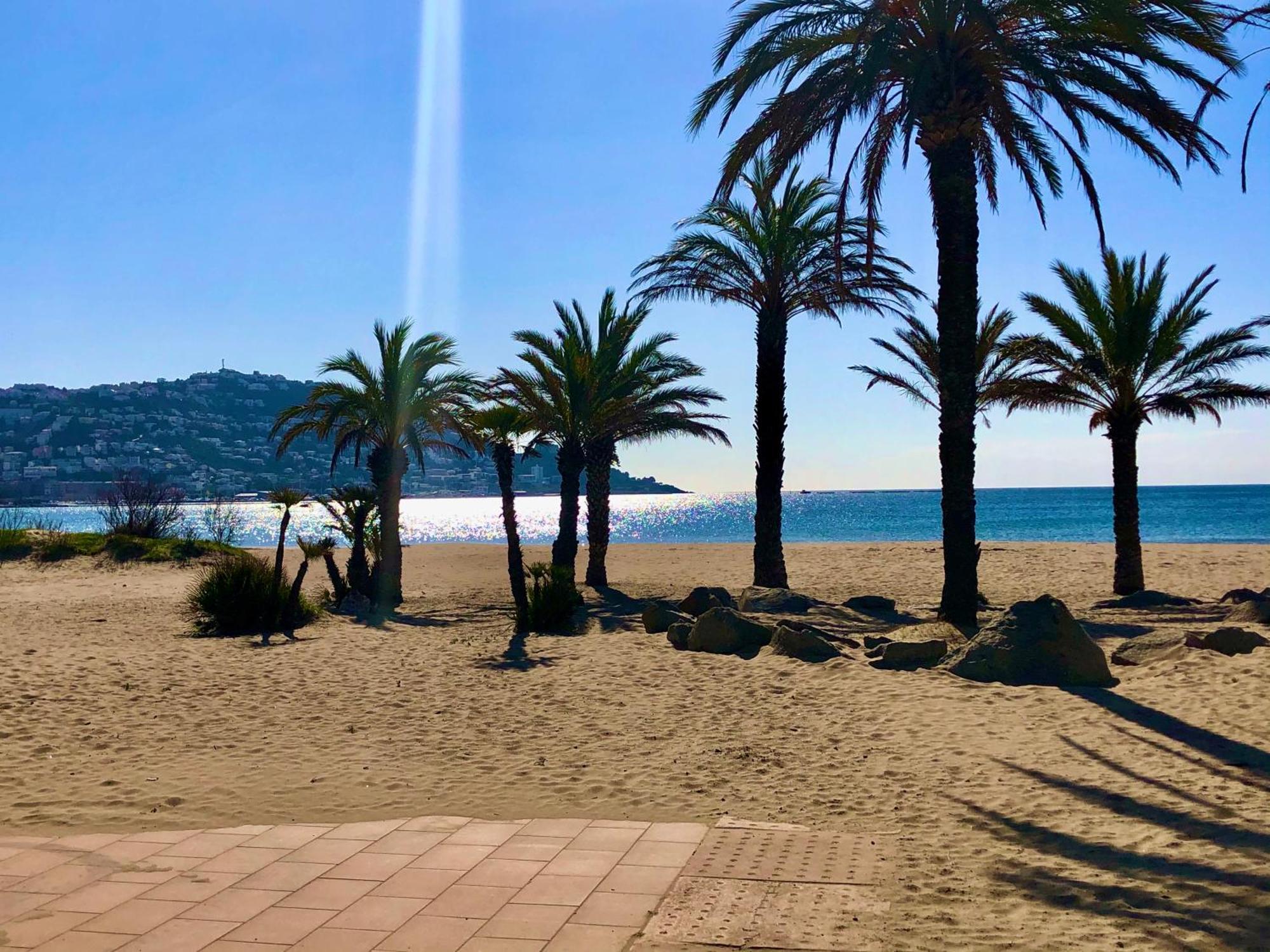 Studio Roses Beach Εξωτερικό φωτογραφία